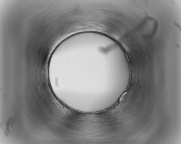 X0000096211516200802011310