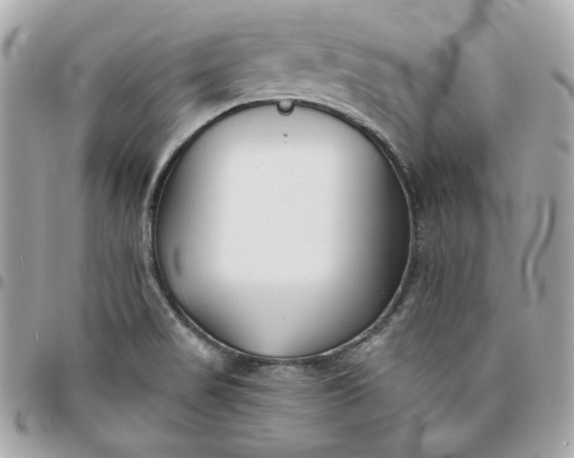 X0000096211517200802011310