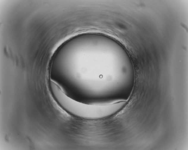 X0000096211518200802011310