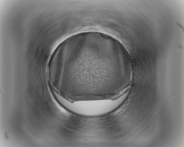 X0000096211519200802011310