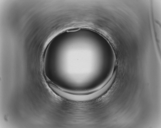 X0000096211520200802011310