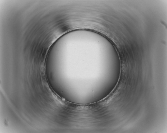 X0000096211521200802011310