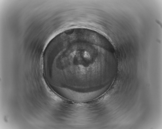 X0000096211522200802011310