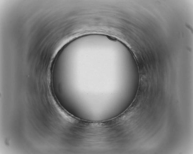 X0000096211523200802011310