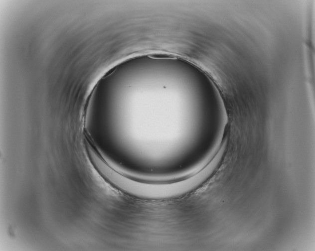 X0000096211524200802011310