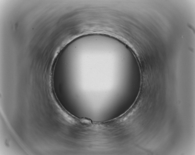 X0000096211525200802011310