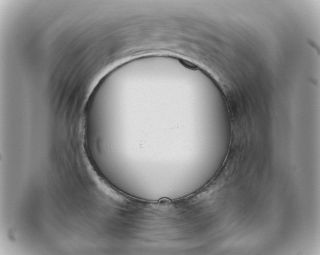 X0000096211526200802011310