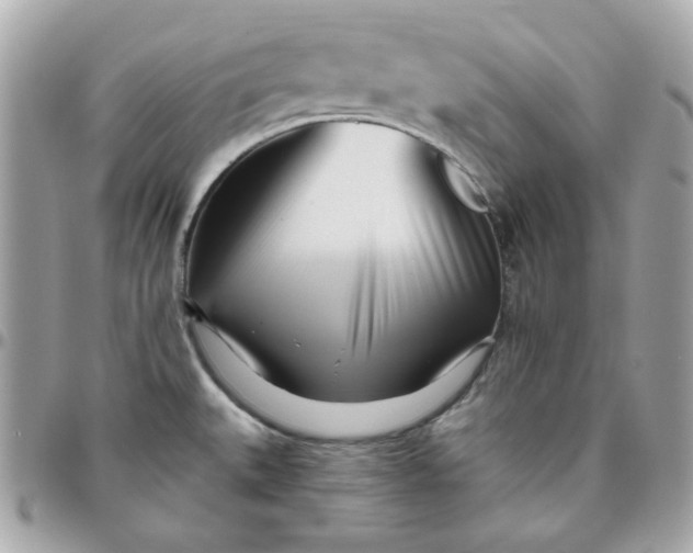 X0000096211527200802011310