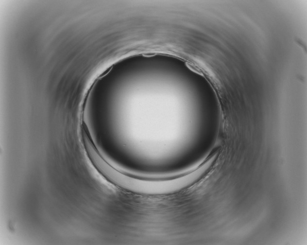 X0000096211528200802011310