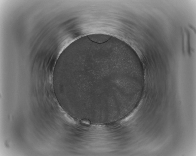 X0000096211529200802011310