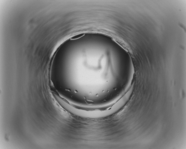 X0000096211530200802011310