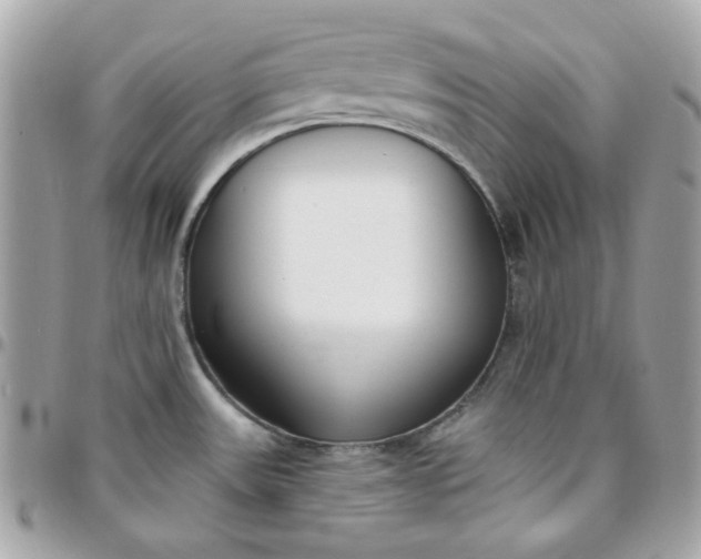 X0000096211531200802011310