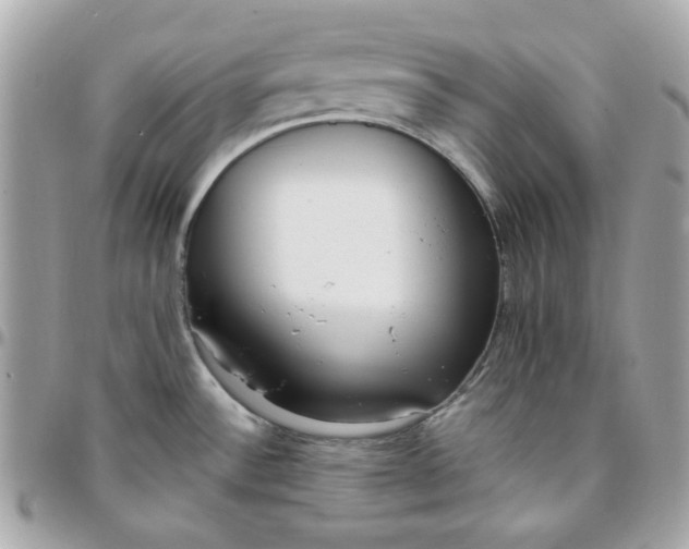 X0000096211532200802011310