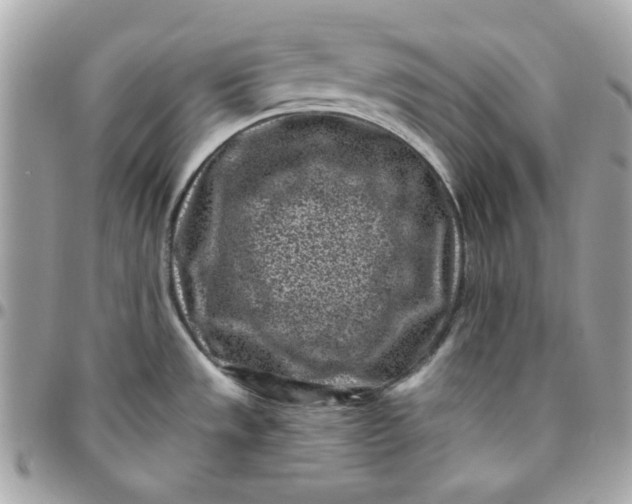 X0000096211533200802011310