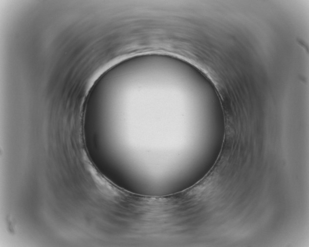 X0000096211534200802011311