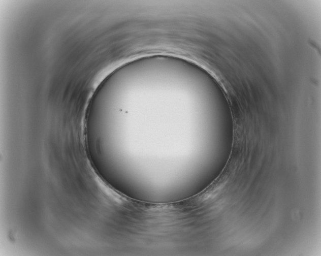 X0000096211535200802011311