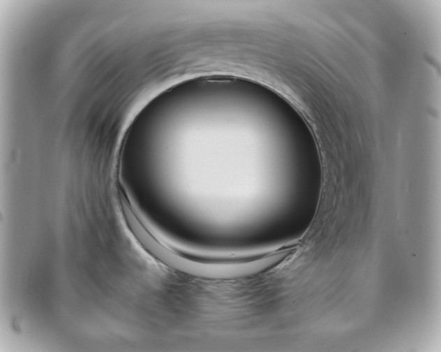 X0000096211536200802011311