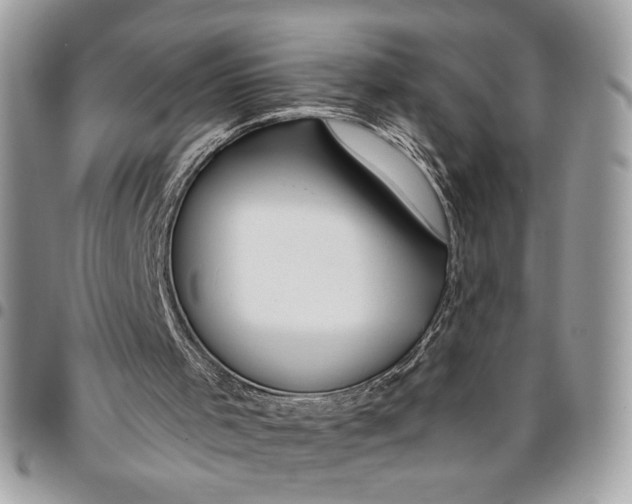 X0000096210001200802081513