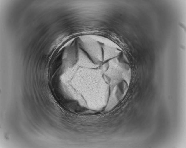 X0000096210002200802081513