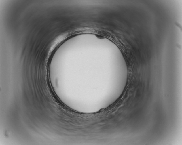 X0000096210006200802081513