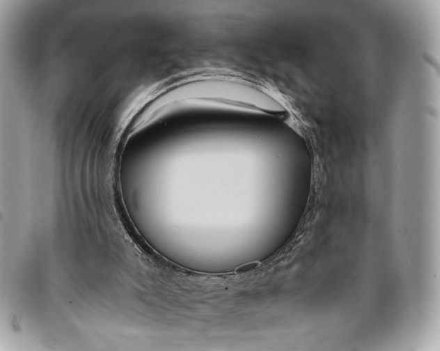 X0000096210007200802081513