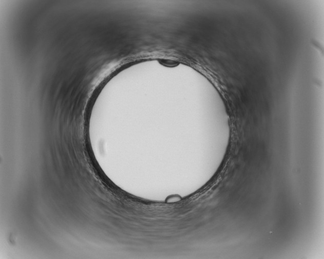 X0000096210008200802081513