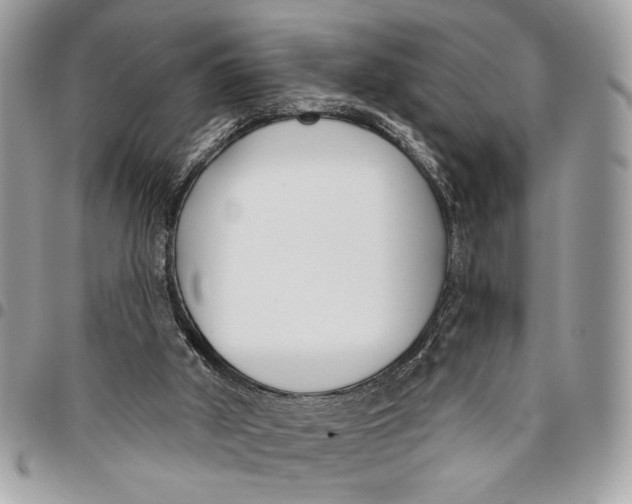 X0000096210010200802081513