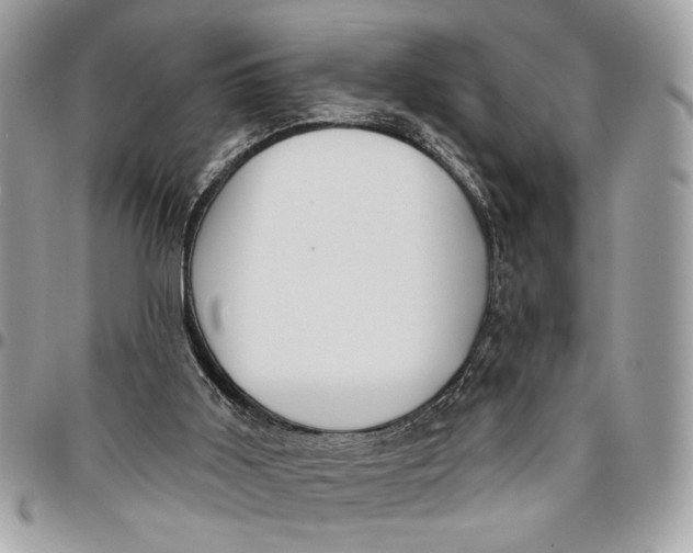 X0000096210011200802081513