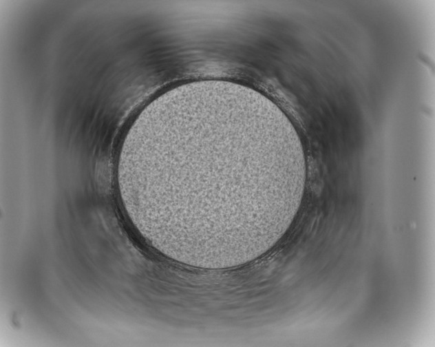 X0000096210012200802081513