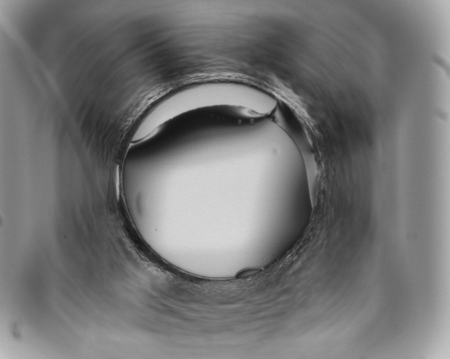 X0000096210013200802081513