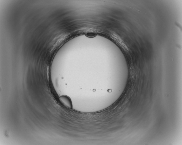 X0000096210014200802081513