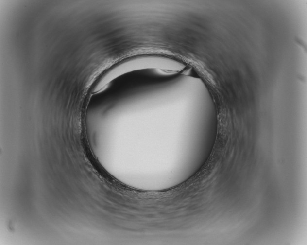 X0000096210015200802081513