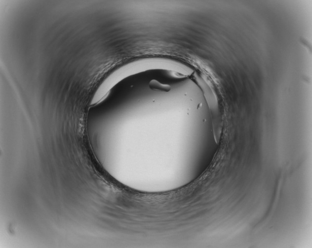 X0000096210017200802081513