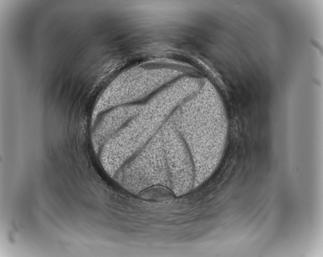 X0000096210018200802081513