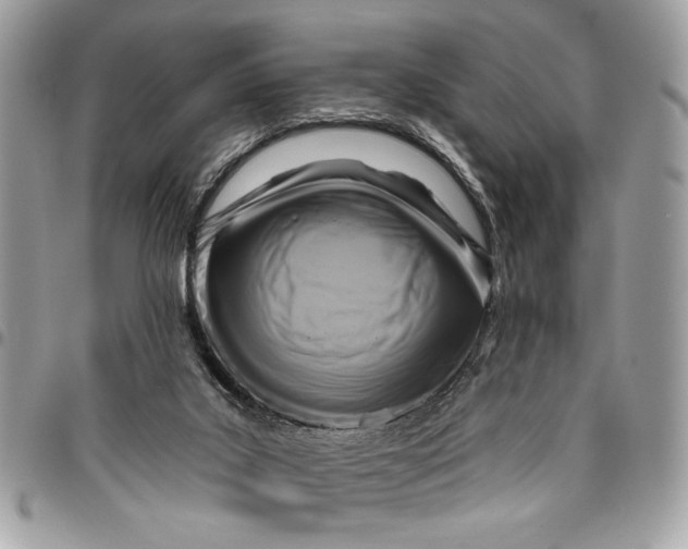 X0000096210019200802081513