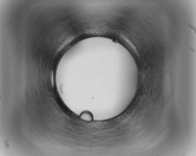 X0000096210020200802081513