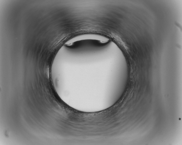 X0000096210021200802081513