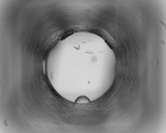 X0000096210022200802081513