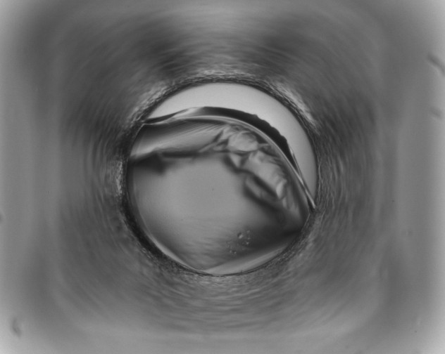 X0000096210023200802081513