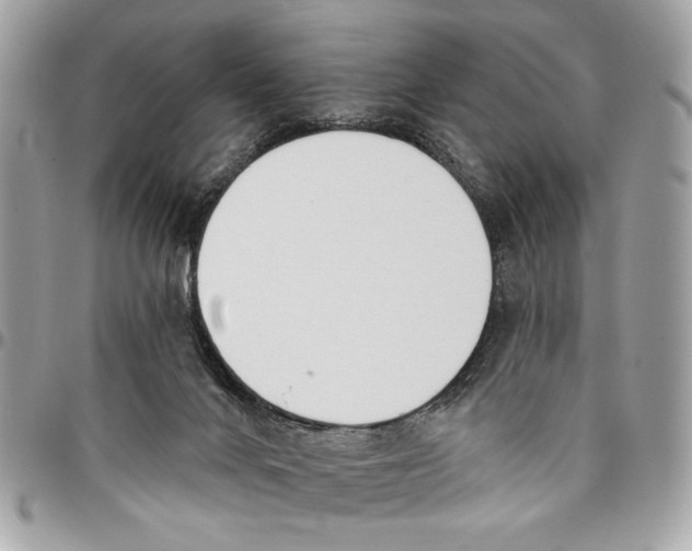 X0000096210024200802081513