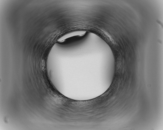 X0000096210025200802081513