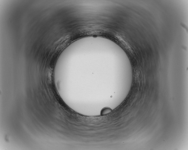 X0000096210026200802081513