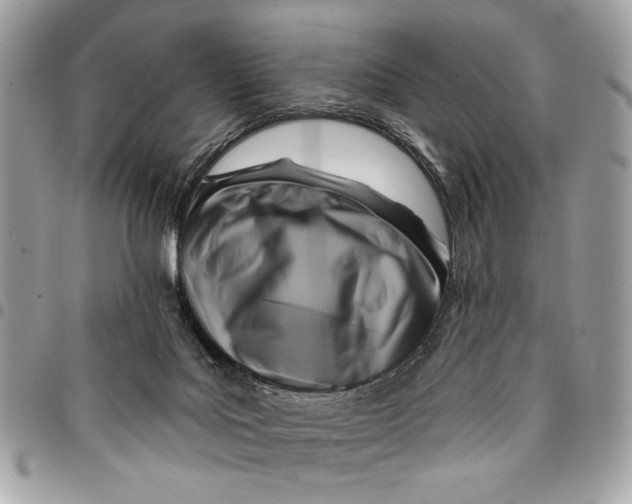 X0000096210027200802081513