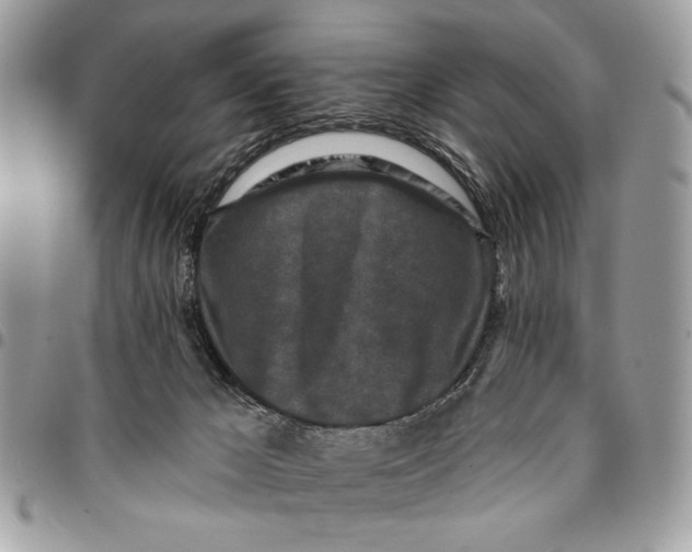 X0000096210029200802081513