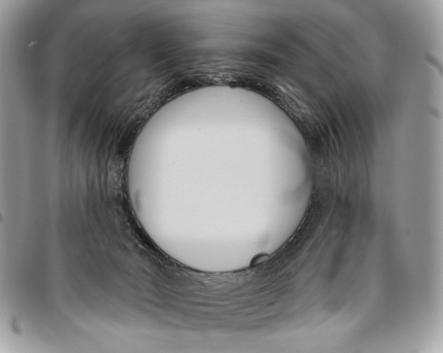 X0000096210030200802081513