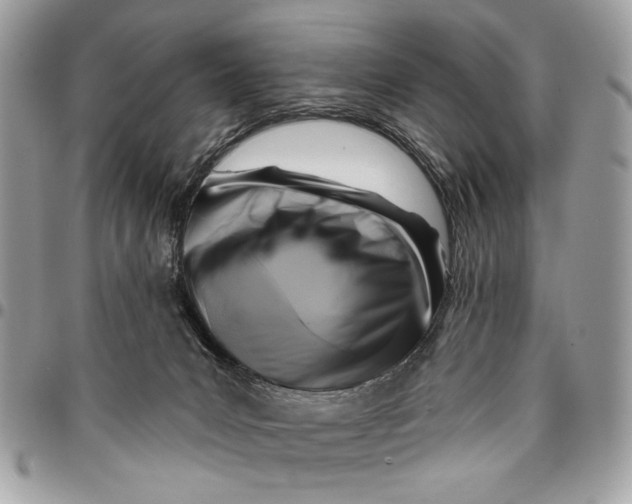 X0000096210031200802081513