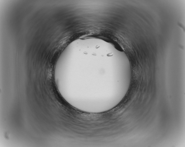 X0000096210032200802081513