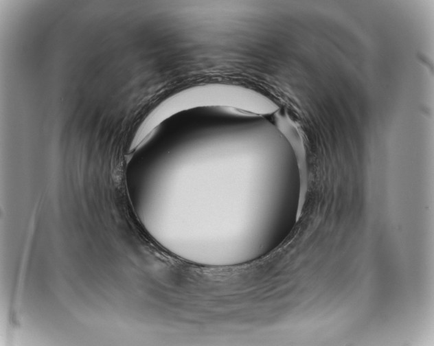 X0000096210033200802081513