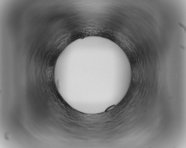 X0000096210034200802081513