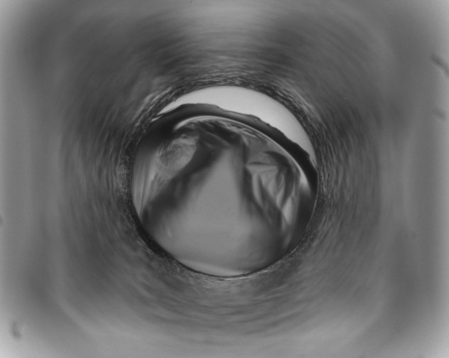 X0000096210035200802081512